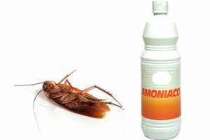 Amoníaco para cucarachas